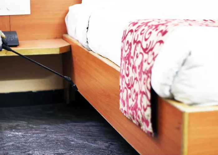 Hotel Vijay